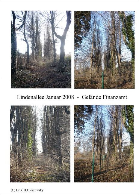 102 Lindenallee Finanz